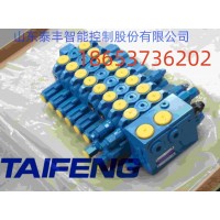 山东泰丰供应TET16开芯式多路阀厂家直销