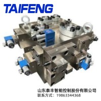 二通插装阀  配套于5000核电站封头压制专用液压机