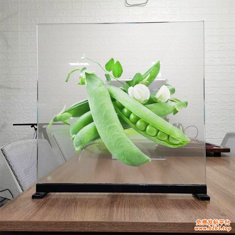 111透明膜 (50)