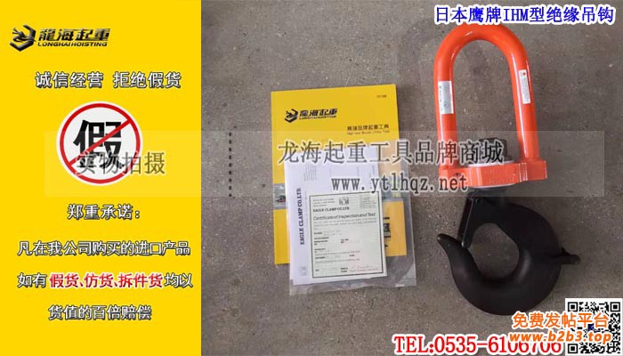 日本鹰牌IHM型绝缘吊钩大图