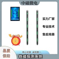 20.双柱铁磁探测系统RMTC