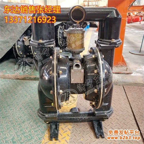 气动隔膜泵8 (2)