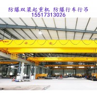 防爆双梁行吊在食品加工行业的应用案例