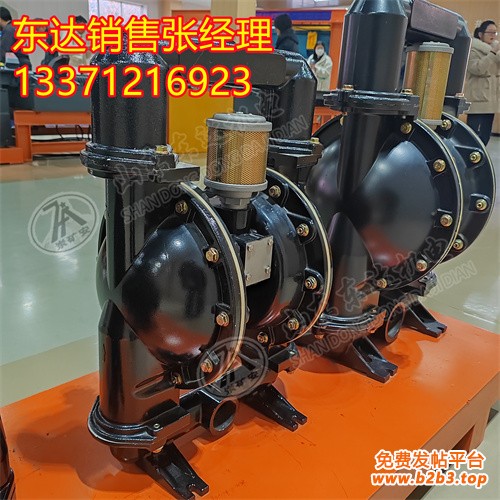 气动隔膜泵10