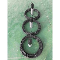 高纯锌参比电极80x300mm带填料和电缆 高纯锌多功能极化探头