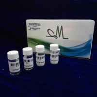 农残检测柱后衍生试剂包YS-CB-001