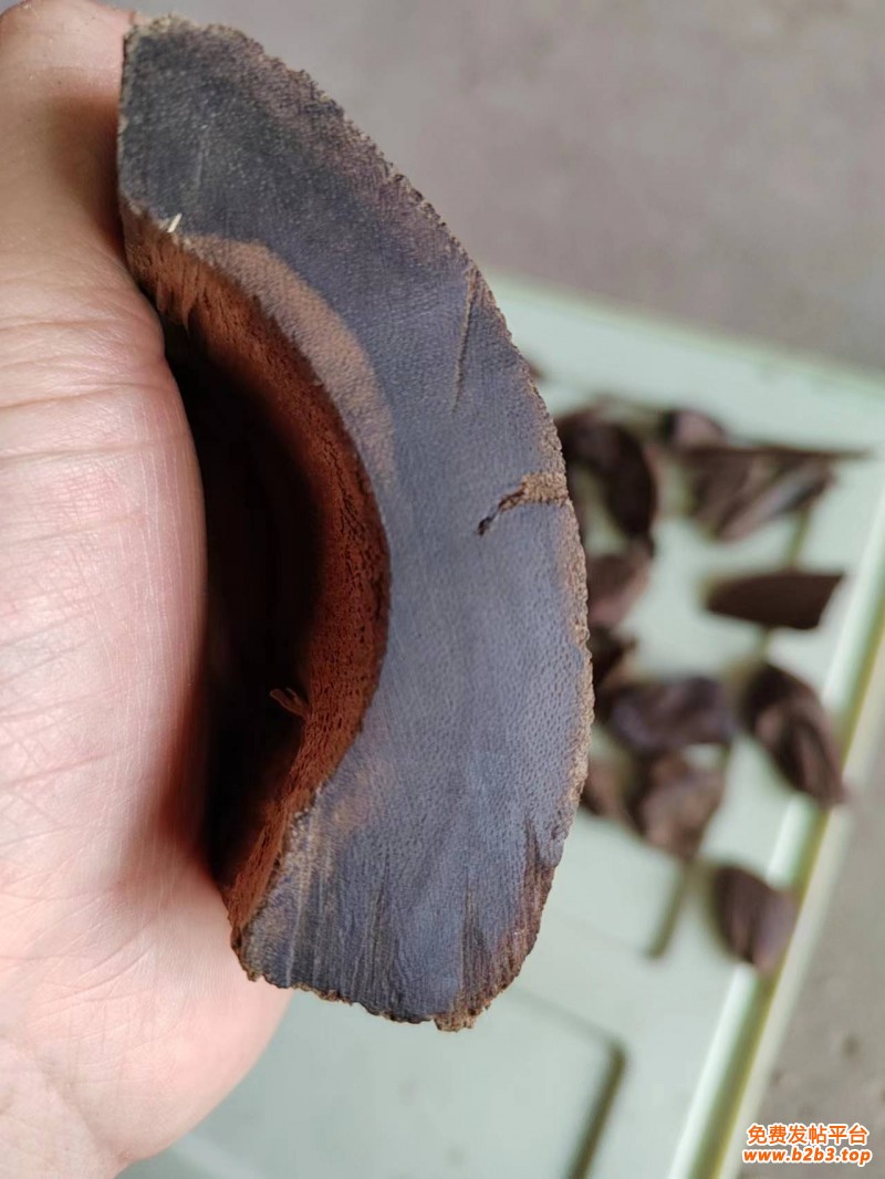 加密,
