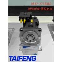 山东泰丰TFA11VO75柱塞泵工厂直销