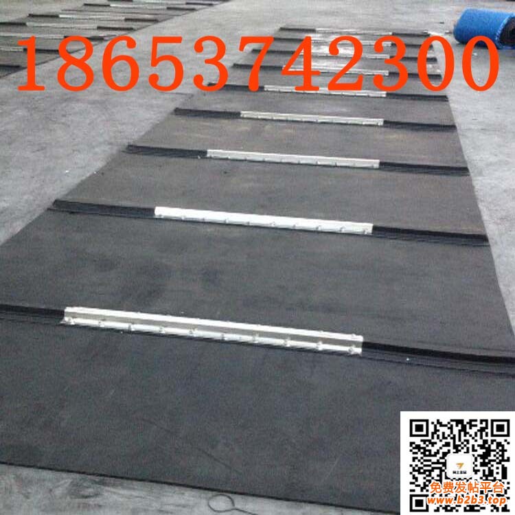 除铁器皮带 (12)