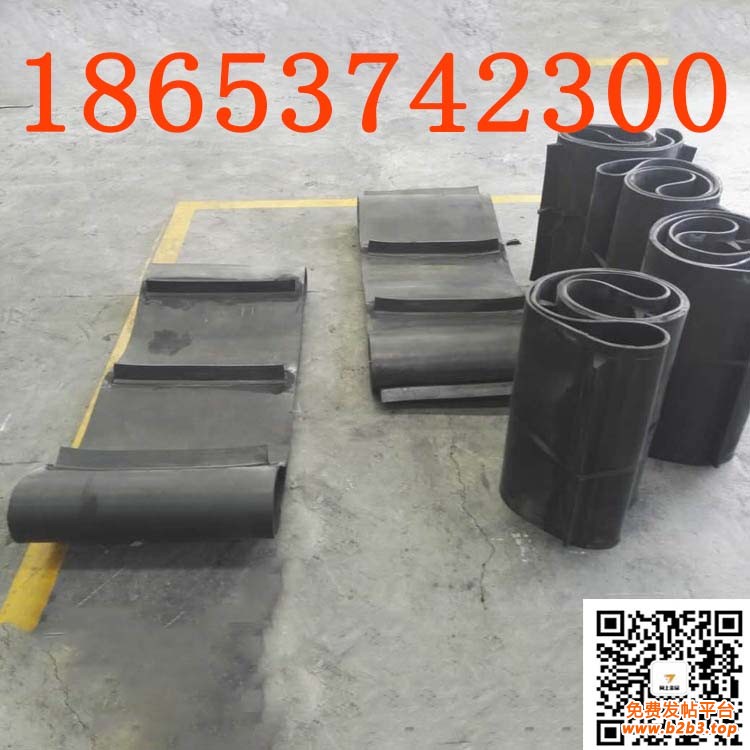 除铁器皮带 (15)