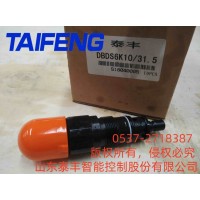 山东泰丰供应DBDS6K直流溢流阀工厂直销
