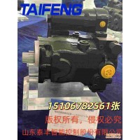 山东泰丰供应TFA10VS045LRDS柱塞泵厂家直销