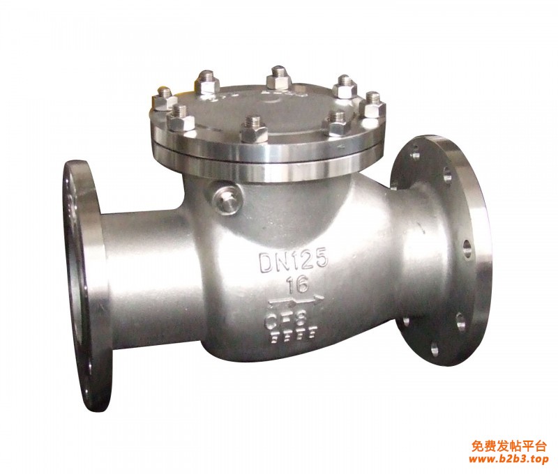 不锈钢止回阀.2