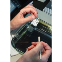 广州贝迪B-481 耐低温聚酯标签