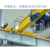 浙江绍兴欧式起重机销售厂家 变频控制系统的构成