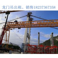 花架龙门吊轻量化设计对其安全性有何影响？