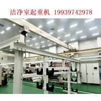 怎样选择适合制药行业的洁净室行吊