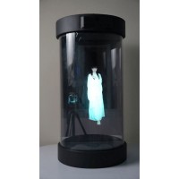 虚拟全息人-橱窗门店展示/仿真数字人展台
