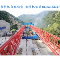 架桥机的吊臂设计有哪些特点和要求
