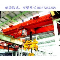 双梁防爆桥式起重机的电气系统故障如何诊断与排除