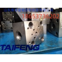 山东泰丰液压供应 TLFA06ZDBT-7X型盖板减压阀