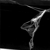 窗户玻璃膜去除