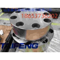 山东泰丰液压TAIFENG液压机配件TLFA06ZDAT-7X型盖板
