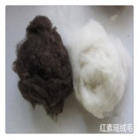 批发绵羊绒原料纺纱纺织填充物