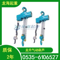 船厂设备搬运用气动葫芦,可定制镀锌材质