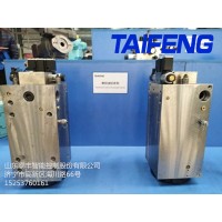 山东泰丰智能供应63T电液折弯机油缸MB-02-09N-00