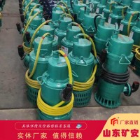 潜水排沙电泵，潜水排沙电泵结构