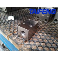 山东泰丰智能供应基本控制盖板TLFA016WEZ-7X