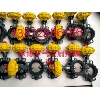 原装正品Z011-A气动对夹式扇形蝶阀EBRO依博罗现货提供价格优惠