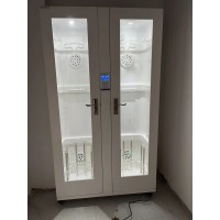 微电脑数显内镜储存柜无菌储存内镜储镜柜