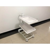内镜转运车内窥镜运转车肠镜胃镜推车纤支镜气管镜托盘加大