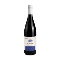OEM贴牌代加工 黑莓果酒配制酒源头厂家