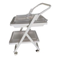 胃肠镜纤支镜转运车内窥镜运转车肠镜胃镜推车二层托盘加大