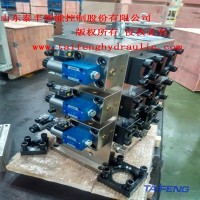 TLCF080-ZCVCS-H2-1X 山东泰丰双主动比例阀