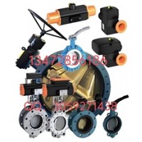 德国依博罗EBRO支耳式涡轮蝶阀Z014-A价格优惠规格齐全速发货