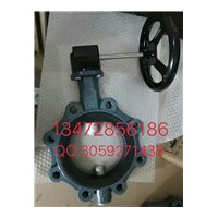 保证原装正品德国EBRO依博罗涡轮蝶阀 Z014-A规格齐全速发货