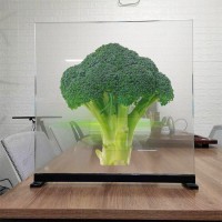 深圳投影膜 虚拟3d立体成像 裸眼空气成像 橱窗玻璃贴膜 厂家直销