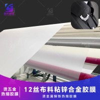 服装金属LOGO热熔膜 服装金属标牌热熔胶膜 粘铜铁电镀热熔膜
