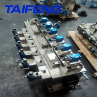 QC11Y-ZL20x3200HYDCV-00剪板机阀组山东泰丰智能控制股份