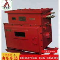 DXBL1536/127/J隔爆型锂离子蓄电池电源 可远程控制