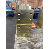 山东泰丰智能供应600T折弯机油缸WC67Y-600NDH-00