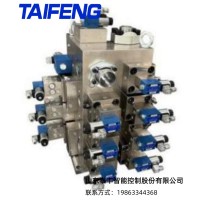 二通插装阀  用于8000吨快速锻压机