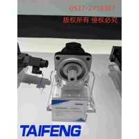 山东泰丰A2FM80液压马达工厂直销
