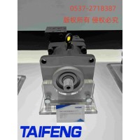 山东泰丰TFA11VLO190LRDU2柱塞泵