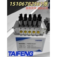山东泰丰TXD04-E24-05多路阀厂家直销