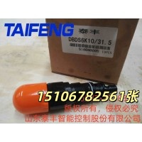 山东泰丰供应DBDS10K直流溢流阀工厂直销